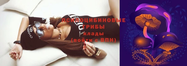прущий лед Алзамай