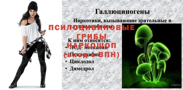 ECSTASY Арсеньев