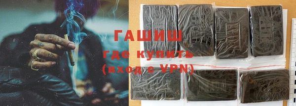 стаф Горняк